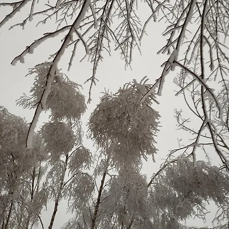 U Golebiewskich Appartamento *