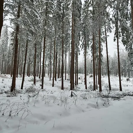 Appartamento U Golebiewskich