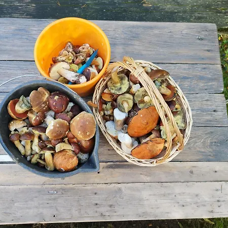 Apartament U Gołębiewskich *