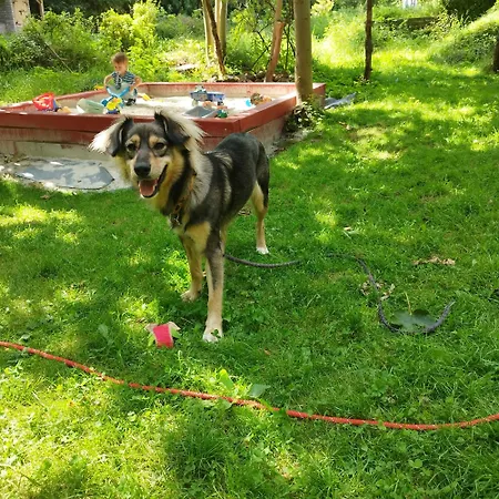 U Gołębiewskich Stara Kamienica