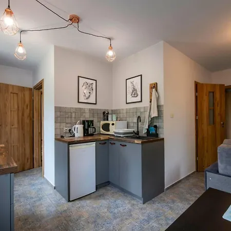 U Golebiewskich Apartment