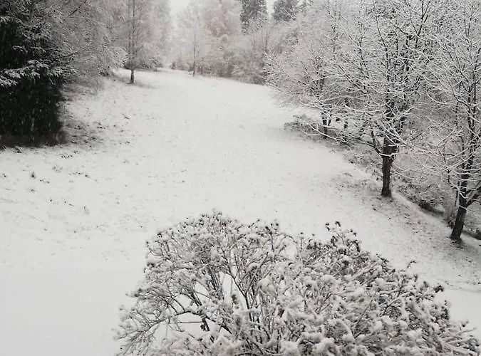 U Golebiewskich * Stara Kamienica