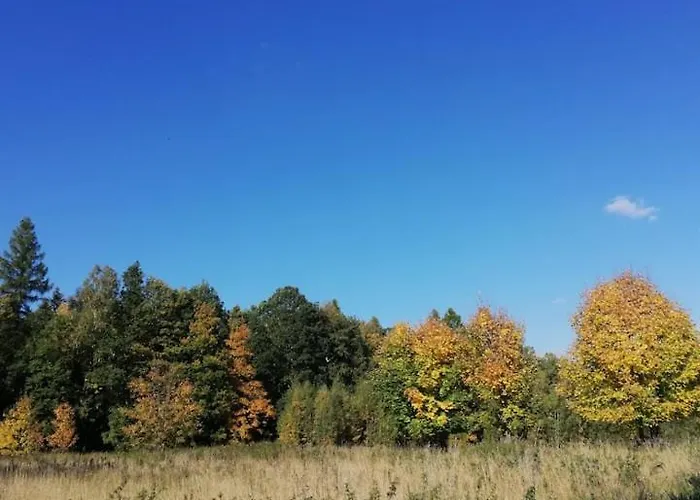 U Golebiewskich Apartment