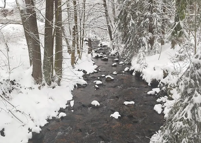 U Golebiewskich Stara Kamienica