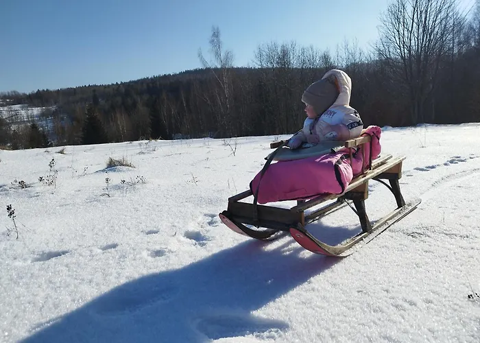 U Golebiewskich Apartment *