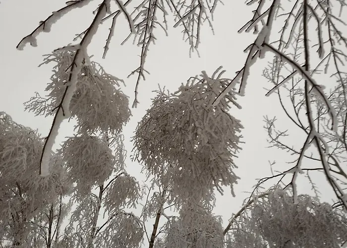 U Golebiewskich Apartment *