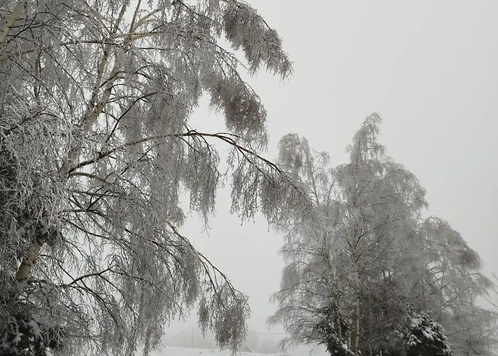 U Golebiewskich Stara Kamienica