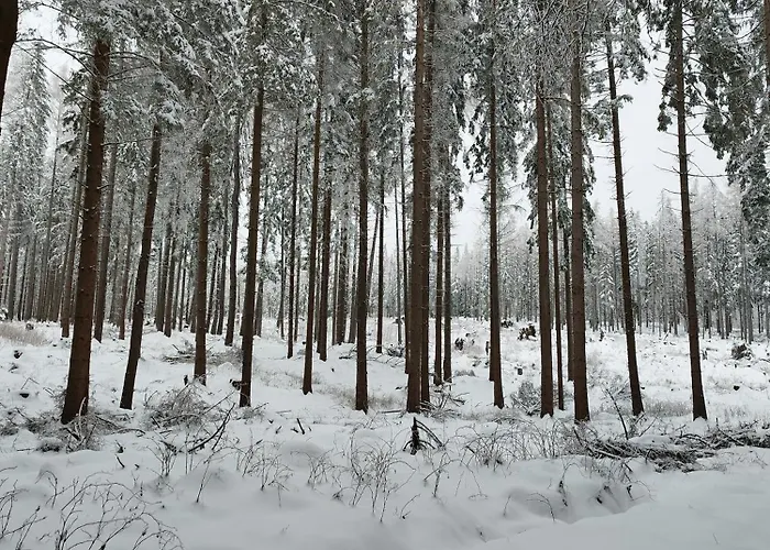 Apartment U Golebiewskich