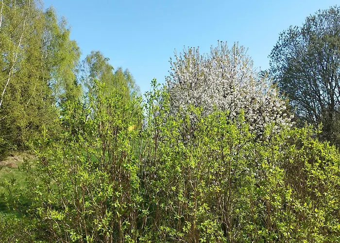 U Gołębiewskich Apartament *