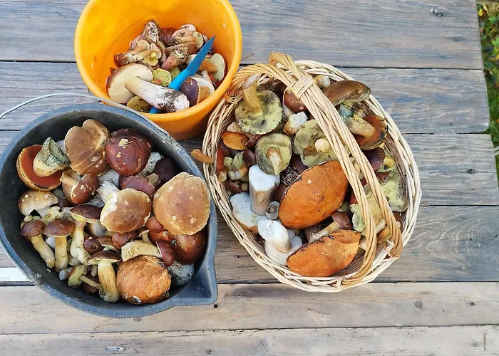 Apartament U Gołębiewskich *